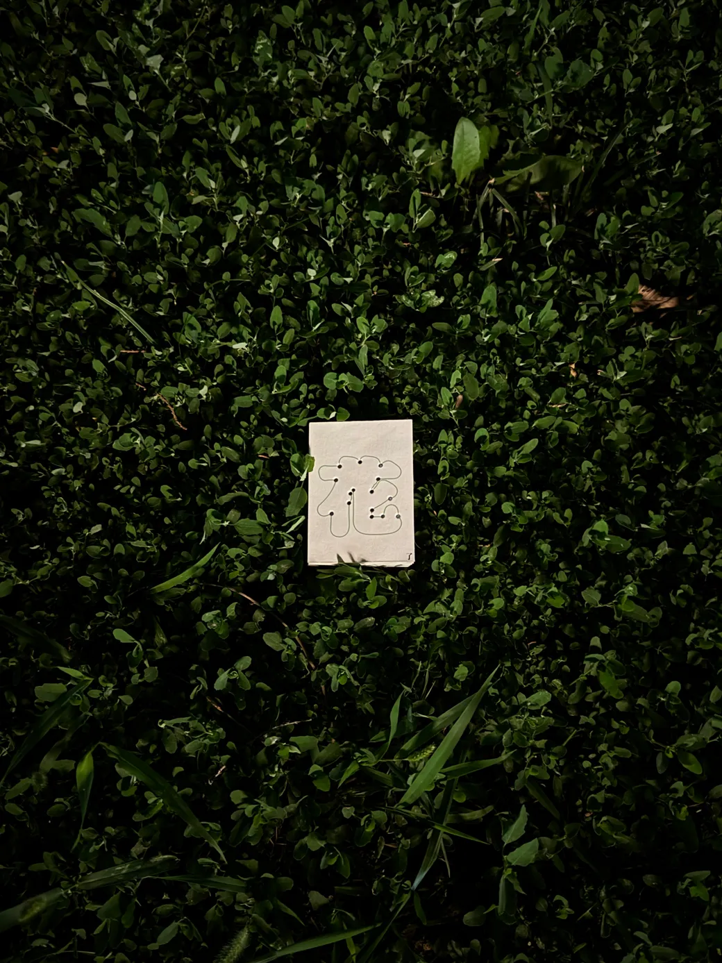 花了 — 豆本置于草地